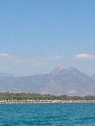 B&B Villa Anna Sibari Εξωτερικό φωτογραφία